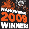 Fireworks and words reading 2000 NaNoWriMo Winner